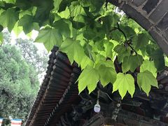 -兴教寺