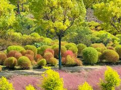 -嘉北郊野公园