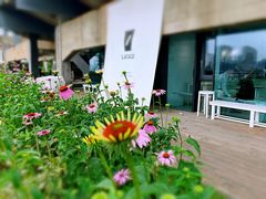-BLATAGE COFFEE
