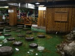 -上海大自然野生昆虫馆(东方明珠·爬宠昆虫探索中心)
