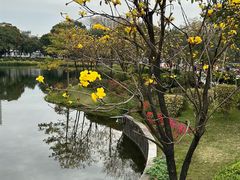 -荔湾湖公园