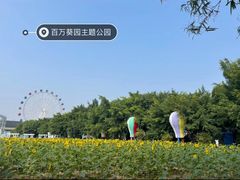-百万葵园