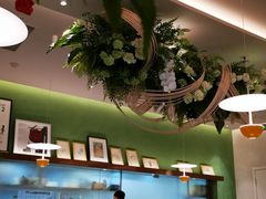 -Aqua Oasis 水天堂(太湖中心mall店)