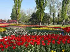 -国家植物园南园