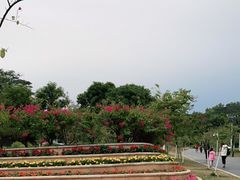-东莞植物园