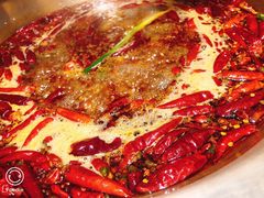 红汤锅-小龙坎火锅(泉舜店)