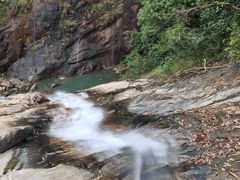 -广州白江湖森林公园