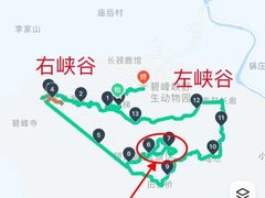 -碧峰峡风景区