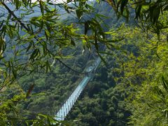 -川西竹海景区
