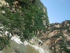 -王顺山国家森林公园