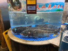-四季厨房 鲁菜·孔府烤鸭(高新万达店)