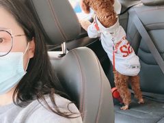 -长白岛森林公园