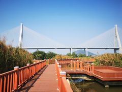 -芒洲湿地公园