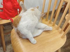 -正南齐北·老街糯米团(洪崖洞店)