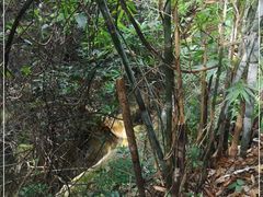 -牛鱼嘴原始生态风景区
