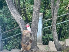 -黔灵山公园