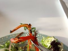 -新元素(丽都店)