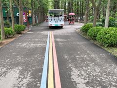 -日照海滨国家森林公园