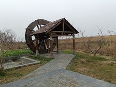 -同里国家湿地公园