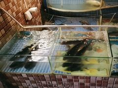 -南方酒店·淮扬菜(回民街店)