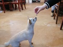 -花水湾红太阳牛肉汤锅