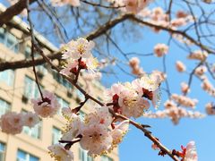 -吉林大学(南岭校区)