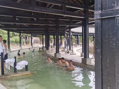 -三江森林温泉度假区