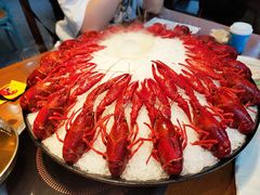 冰镇龙虾王-阿甘龙虾·重庆麻麻鱼(中豪店)