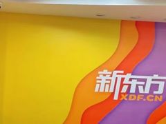 -新东方素质(金源校区)