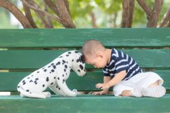 -大连棒棒糖儿童摄影(熊洞街店)