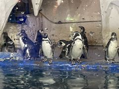 -太平洋海底世界