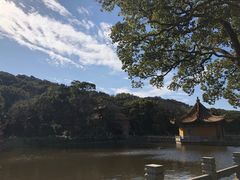-枣子树·素食餐厅(普陀山店)