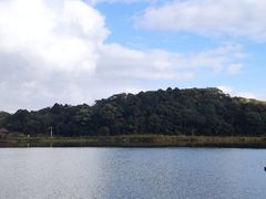 -海南热带雨林国家公园吊罗山景区