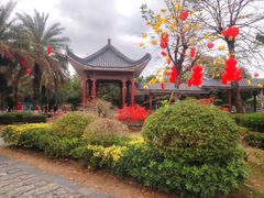 -飞来湖湿地公园