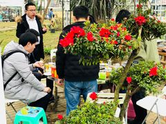 -三圣花乡旅游区