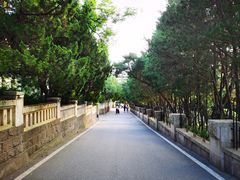 -八大关景区