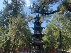 -中岳庙