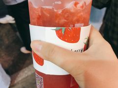 -树夏(建设路店)
