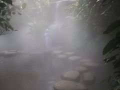 -森林公园(尖草坪区)