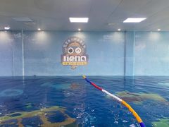 -尼莫亲子游泳NEMOSWIM(秀兰中心店)