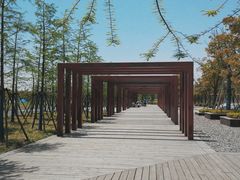 -春花秋色城市公园