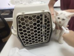 -中农大我爱我爱动物医院·核磁CT·猫病·24小时夜诊中心(石佛营店)