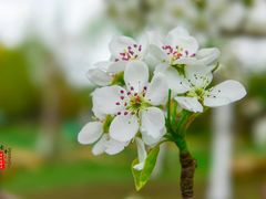 -长春公园(普阳街道)