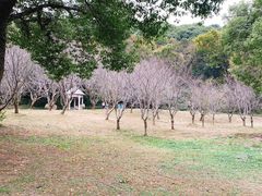-苏州上方山国家森林公园