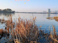 -长广溪湿地公园