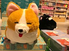 -狗道宠物(常熟印象城店)
