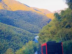 -镇江市南山风景名胜区竹林景区