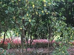 -月牙潭公园