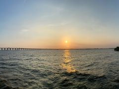 -宝安西湾红树林湿地公园