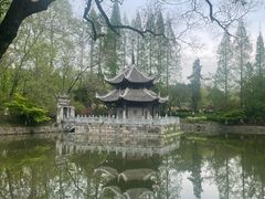 -习家池